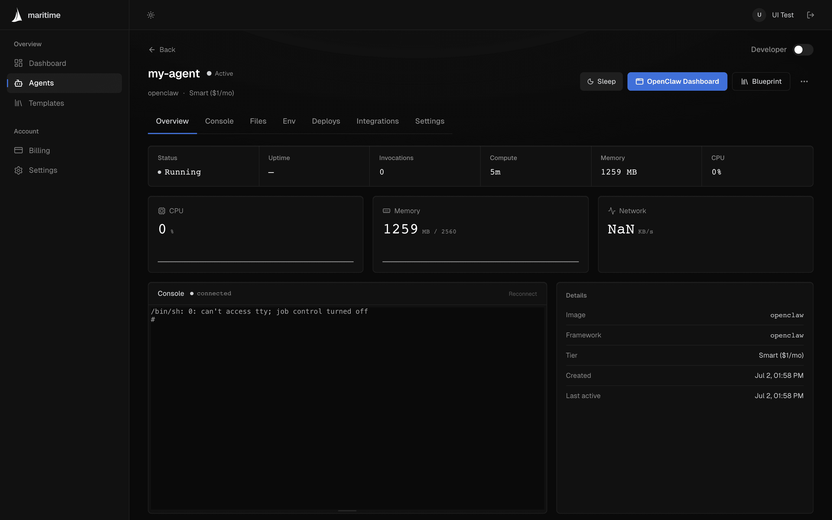 A provisioned agent's overview page in the Maritime dashboard